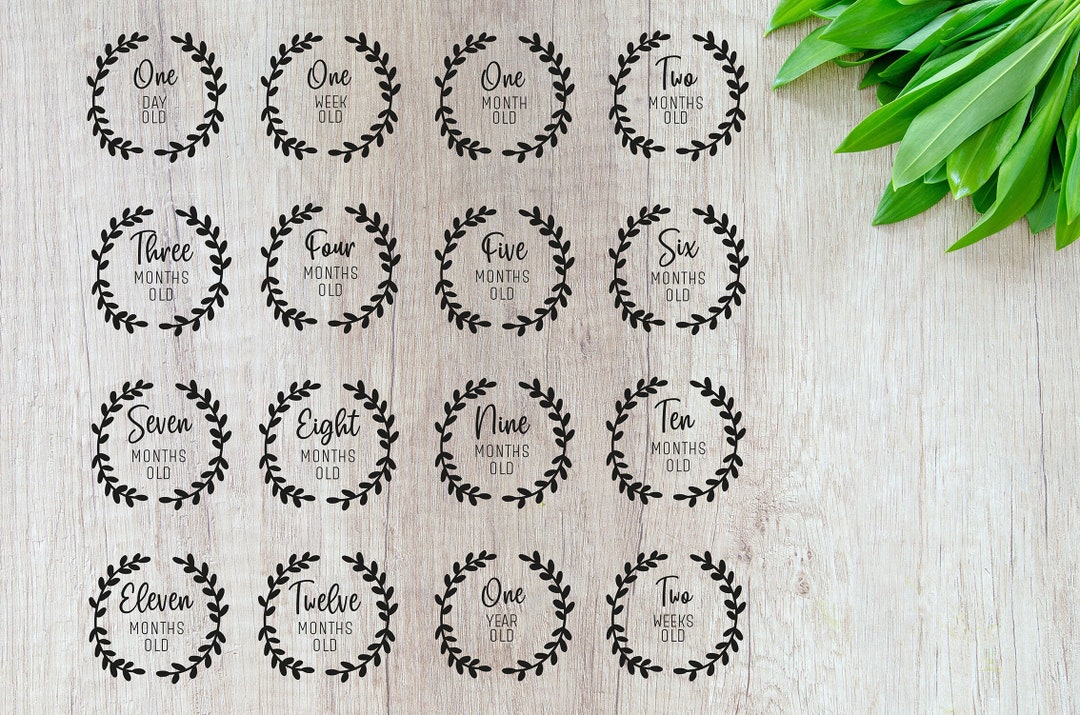 Baby Milestone SVG Bundle, Newborn Photo Props (digital Download) - Etsy
