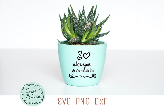 synergie aloe vera skin gel Deynique Aloe Vera Wash Cleanser main image 0