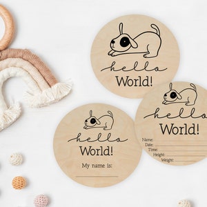 Perros de anuncio de bebé, Anuncio de bebé svg, Hola mundo svg, anuncio de nacimiento svg niño, signo de estadísticas de nacimiento svg, niño onesies svg, signo svg