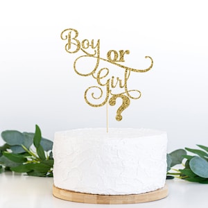 Jongen of meisje taart topper svg, baby shower taart topper svg, gender reveal svg, babyjongen svg, baby meisje svg, taart topper gesneden bestand, dxf-bestand