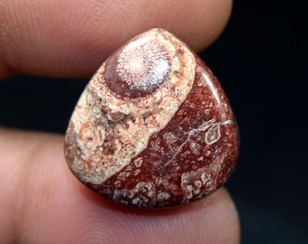 Bird Eye Jasper Stone Healing Loose Hand Polish 26X26X04 MM Valentine Gift Stone Rare Quality Bird Eye Jasper Gemstone Birth Stone US-3438