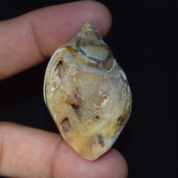 Natural Fossil Snail Druzy Agate, Natural Shell Loose Gemstone, Hand Polish Smooth Gemstone For Silver Pendant 113.00 Cts