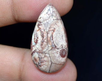 Bird Eye Jasper Stone Healing Loose Hand Polish 26X26X04 MM Valentine Gift Stone Rare Quality Bird Eye Jasper Gemstone Birth Stone US-3438