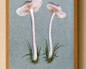 Vintage Mushroom Art Print - Botanical Fungi Illustration - Cottagecore Wall Decor - Mycology Poster