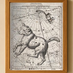 Ursa Major und Minor Sternenkarte - Antike druckbare Astronomiekarte - 1800s Celestial Constellation Art - Vintage Wissenschaft Dekor - Großer Wagen