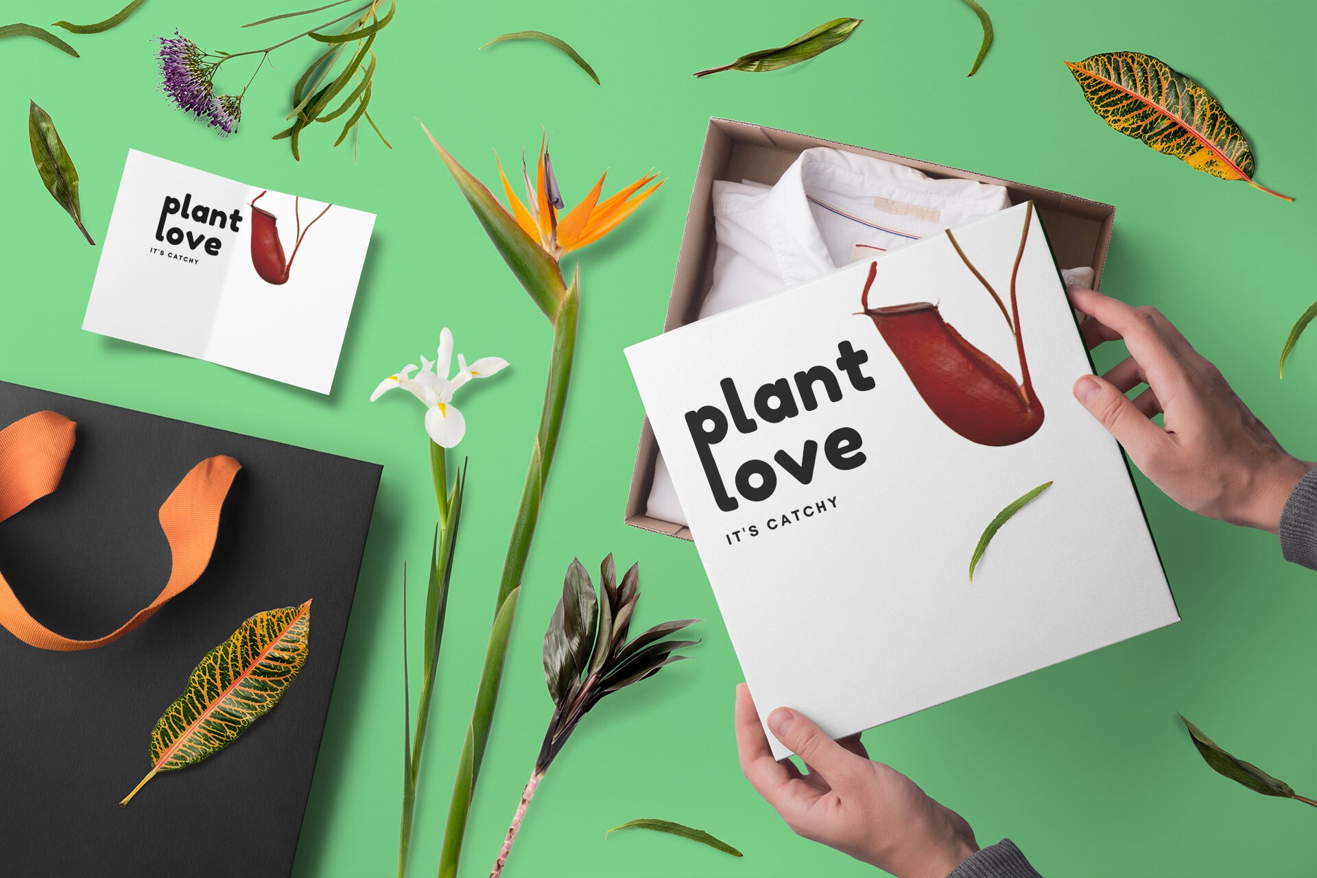 Plant Love Gift Card or Poster Etsy