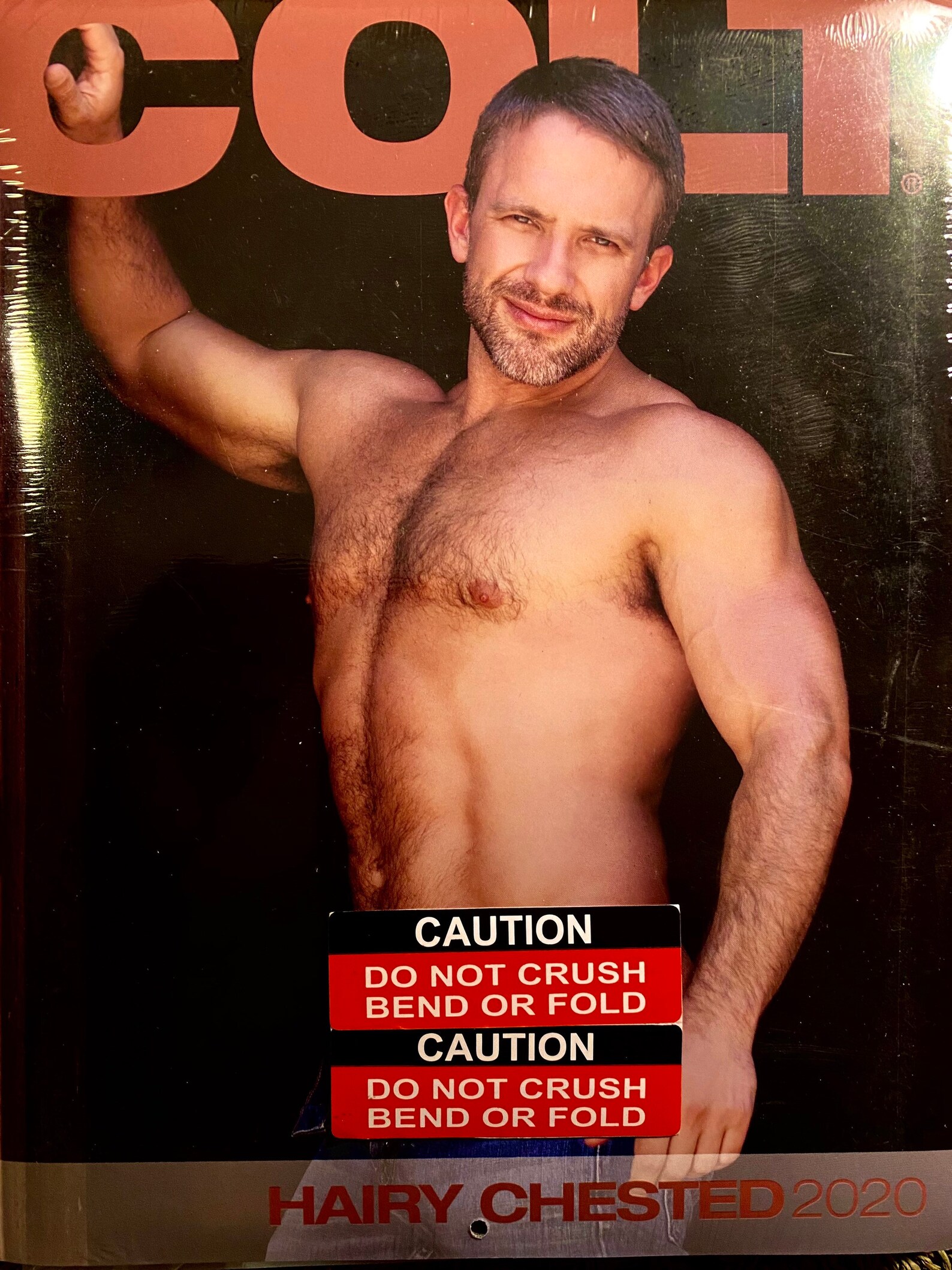 COLT Calendar HAIRY CHESTED 2020 | Etsy