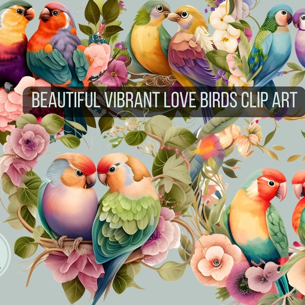 Floral Love Birds Colorful vibrant Clipart Budgie Parrot parakeet Sublimation Hand Drawn Digital Design Instant Download Colorful Clip art