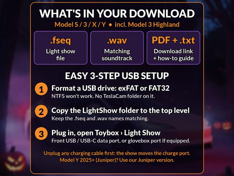 May include: A digital information graphic with a dark background detailing a Tesla light show download. It lists file formats including .fseq, .wav, and PDF, and provides a three-step USB setup guide for Model S, 3, X, and Y vehicles, including instructions for formatting and folder placement.