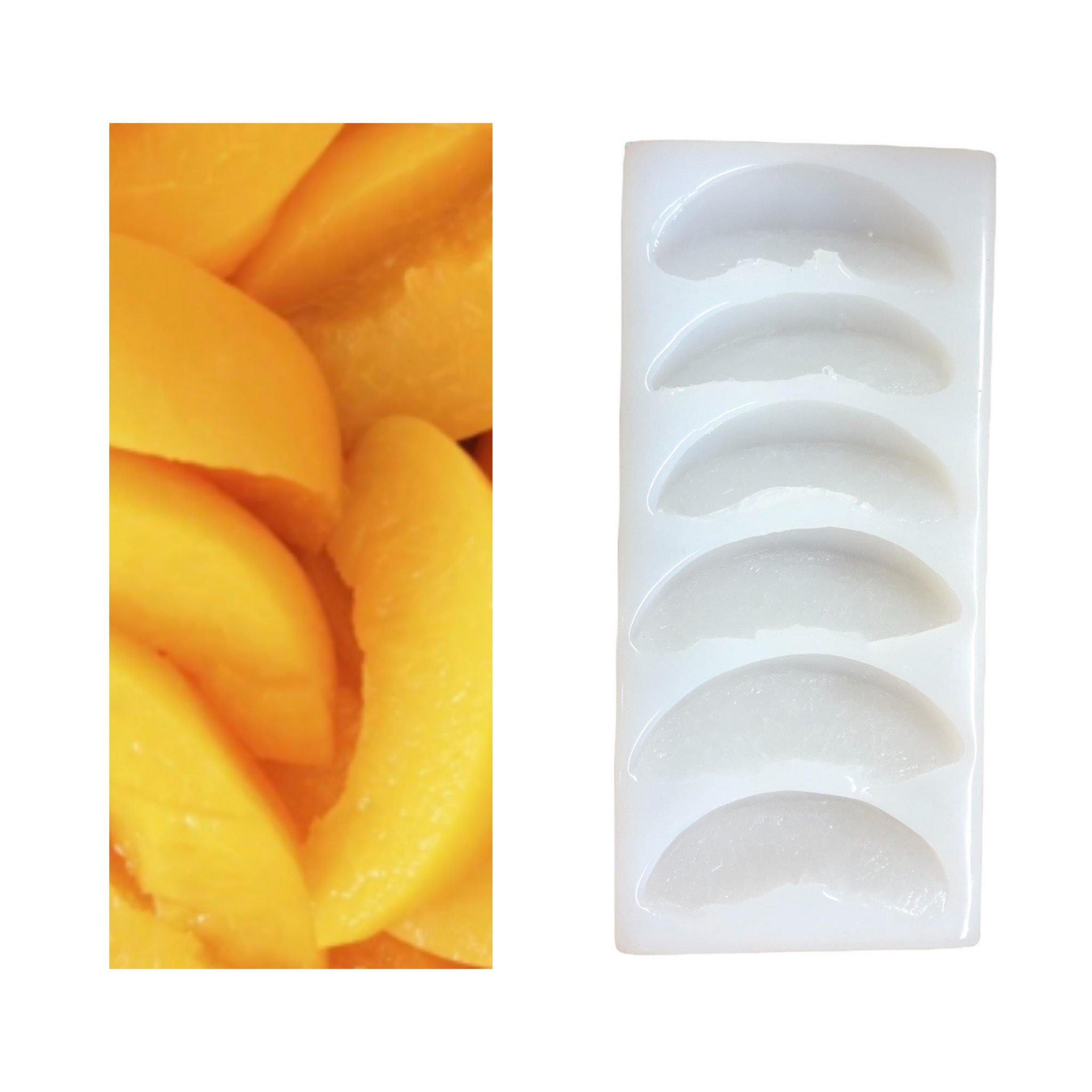 16Pc Fruit Rings cereal type Realistic Silicone Mold. For Wax, Embed, Soap, Resin Castings, Not Food Grade