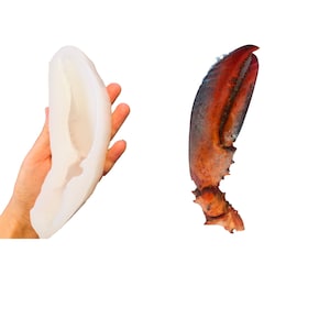 1pc Realistic Cooked Left Lobster Claw Silicone Mold| Food Shape Silicone Mold| Soap| Candle | Mold for Wax| Mold for | Not Food Grade