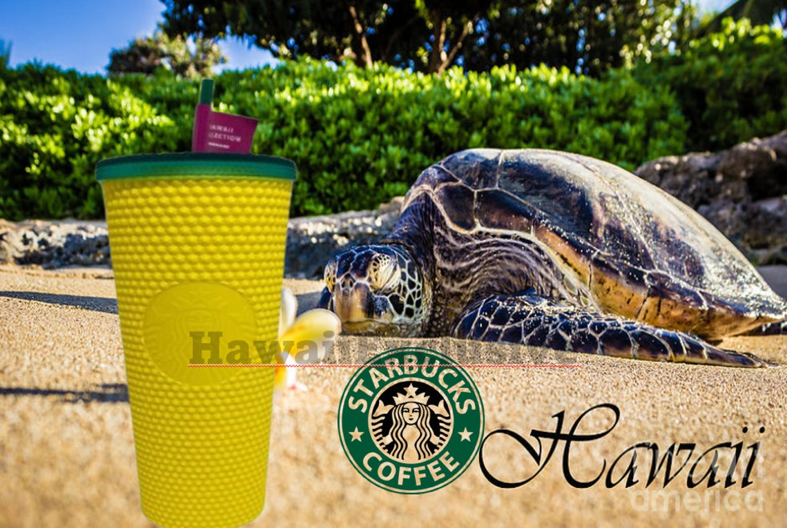 starbucks 2020 hawaii exclusive collection matte studded pineapple 24oz tumbler