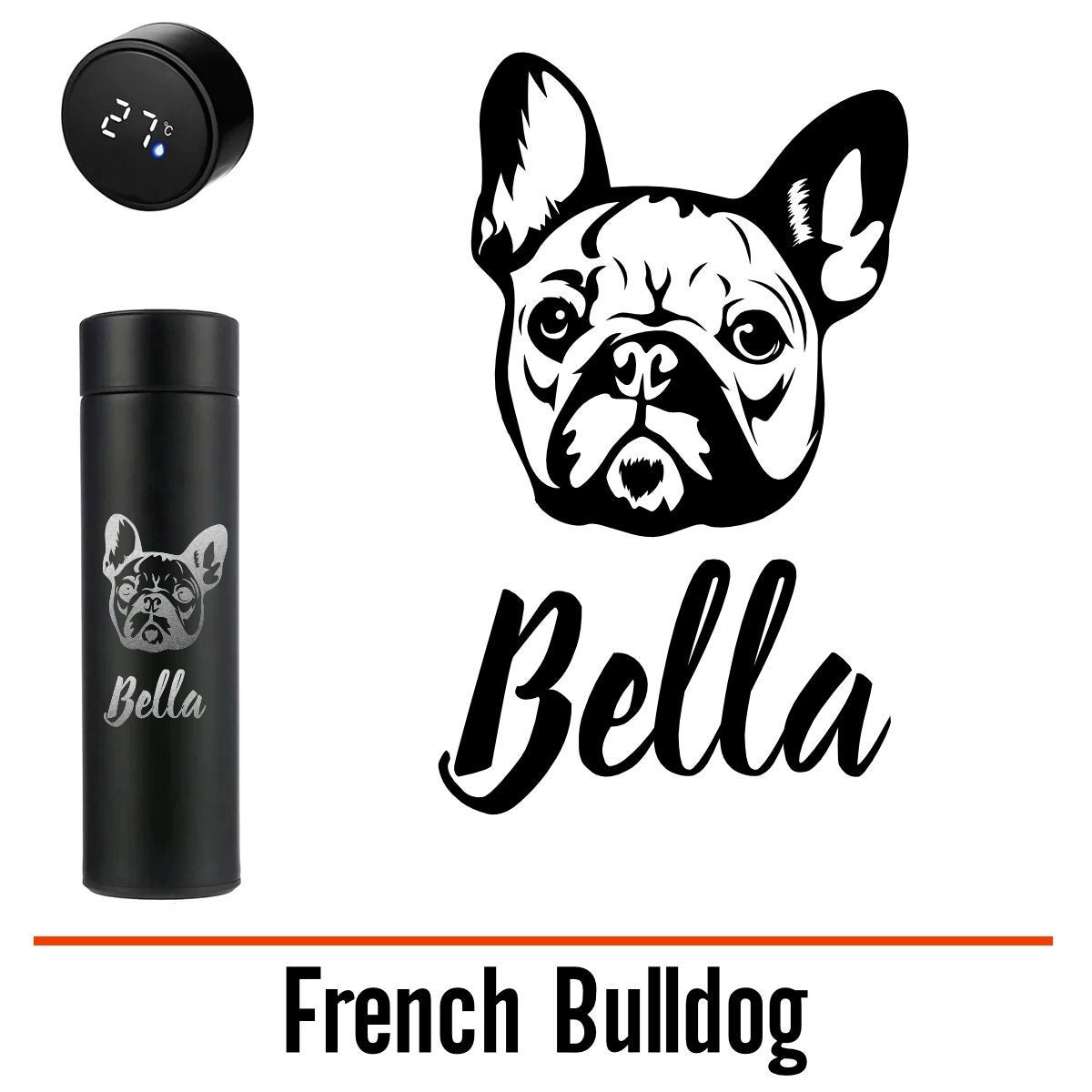 Do French Bulldogs Get Cold Easily