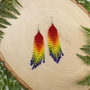 Rainbow Beaded Fringe Earrings