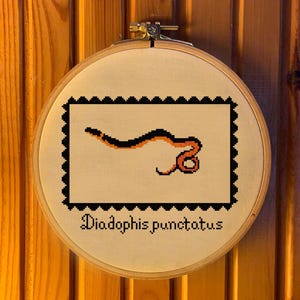 Op de afbeelding: Een ronde houten borduurring met een kruissteekontwerp op gebroken witte stof. Het ontwerp toont een illustratie van een zwarte en oranje slang binnen een zwarte gekartelde rechthoekige rand, met de tekst Diadophis punctatus eronder.