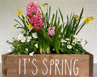 IT'S SPRING - Aufkleber, Decal, Sticker