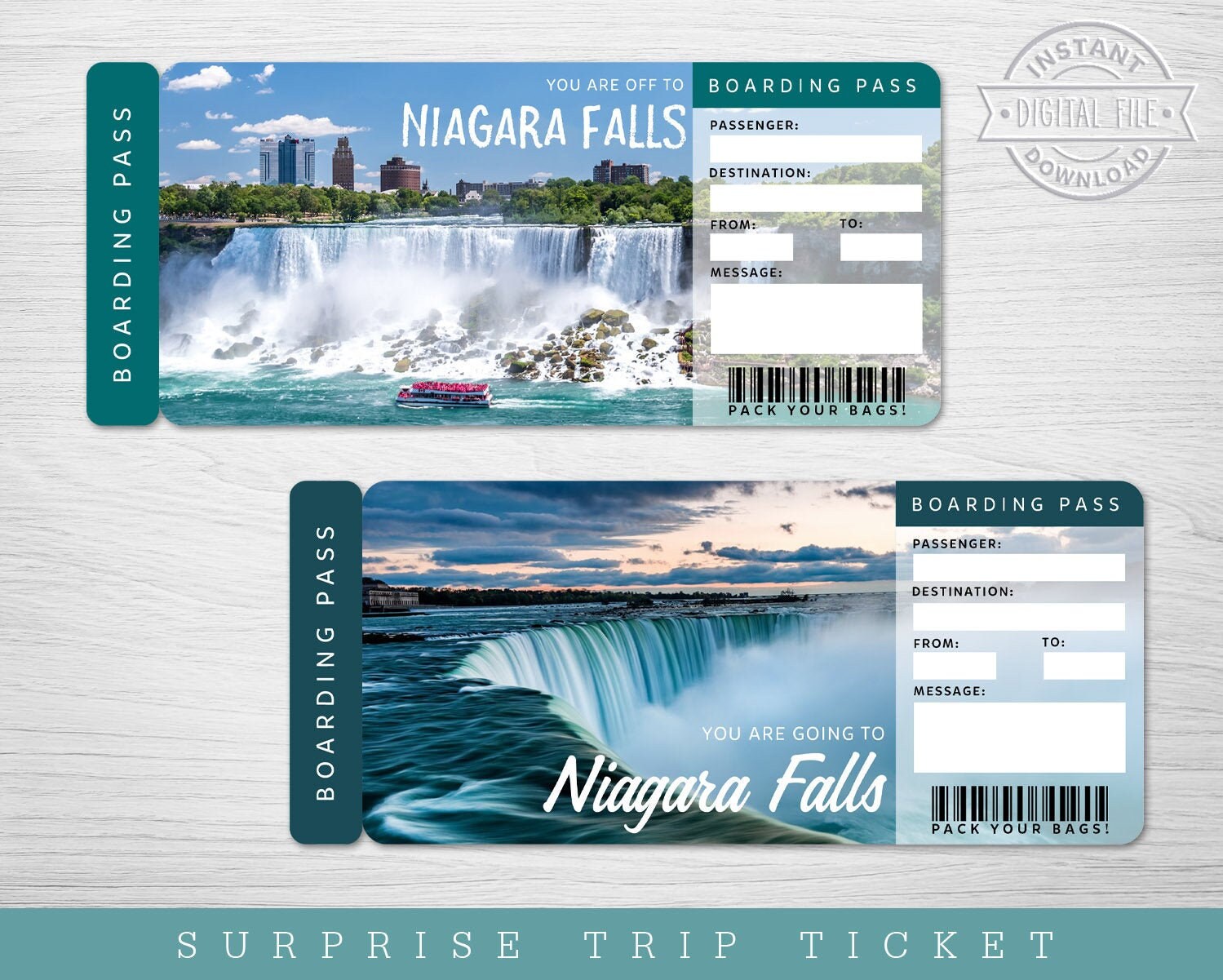 Digital NIAGARA FALLS Surprise Trip Gift Ticket Printable Etsy