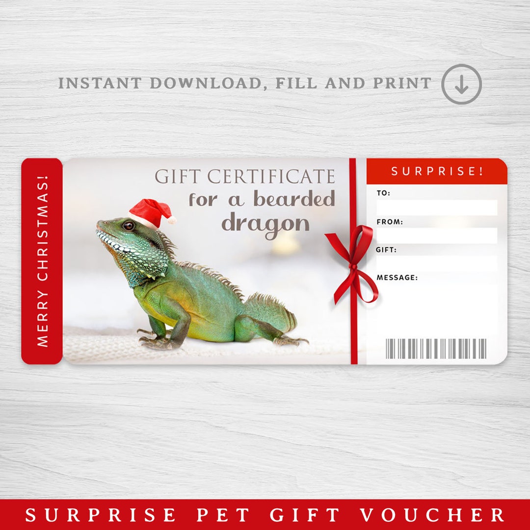 Digital Bearded Dragon Gift Certificate Reptile Gift Voucher Etsy