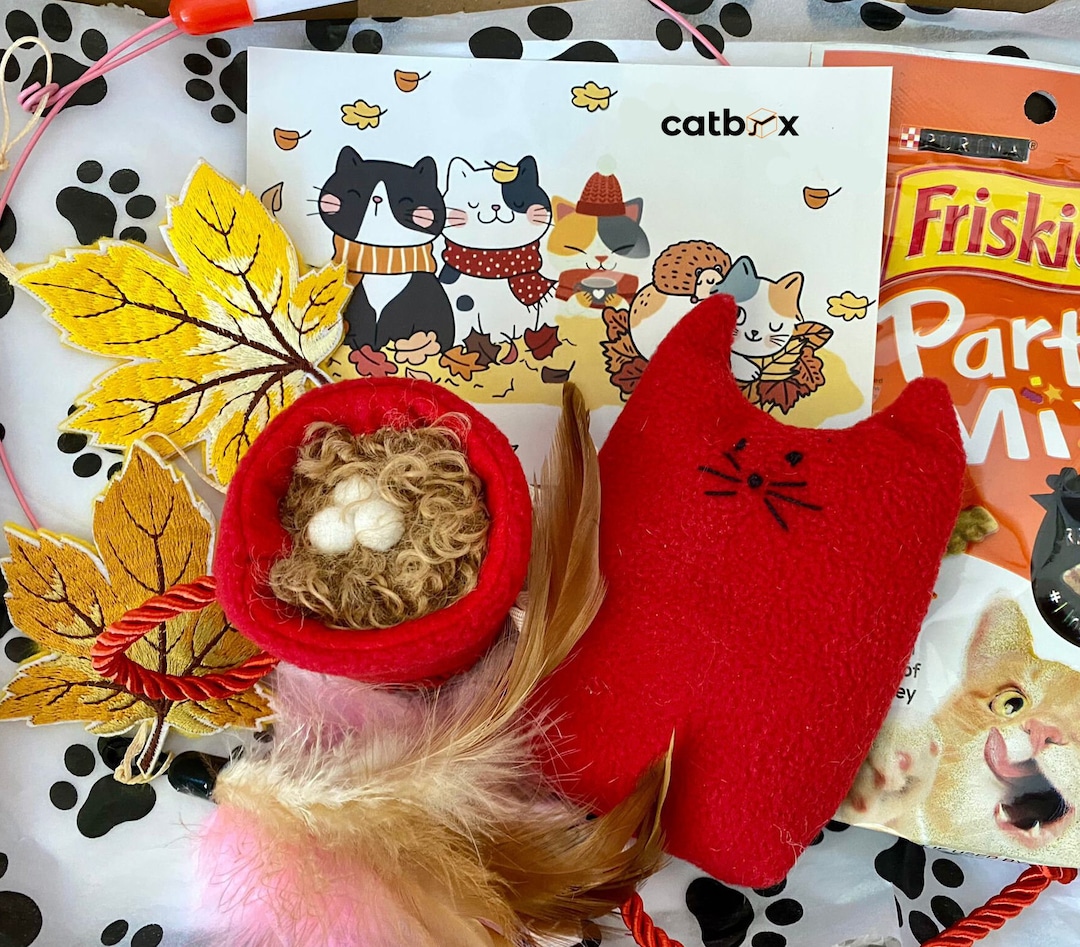 Mystery Box Surprise Box Cat Toy Catnip Cat Toys Birthday Cat Gifts Cat Gift for Cat Lover Cat