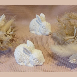Raysin rabbit, Easter bunny, rabbits, bunnies, Easter decoration, gift for Easter, souvenir, Easter decoration, Easter gift