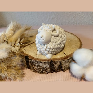 Raysin schapen, paaslam, lam, schaap, paasdecoratie, paascadeau, souvenir, woondecoratie