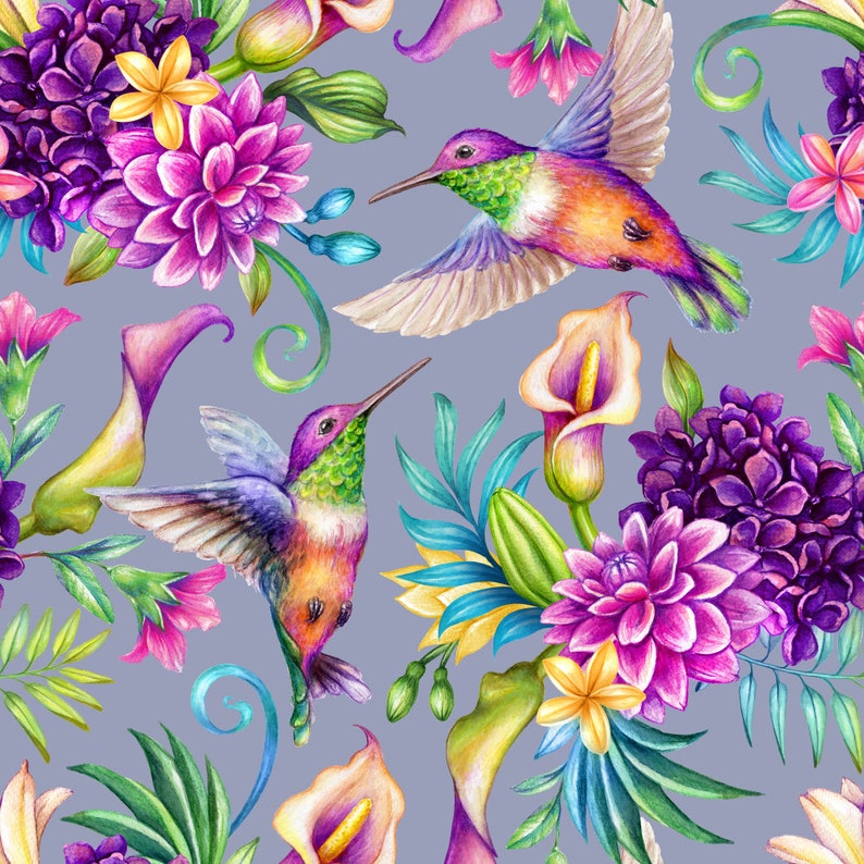 Tejido de tapicería repelente al agua por metro Tejido estampado para exteriores 100% poliéster Oeko-TexI Motif: colorido colibrí imagen 1