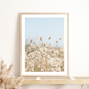 POSTER Foto am Meer – Kätzchen – Pompons – Bretagne – Poster – Meer – Strand