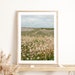 see more listings in the PHOTOGRAPHIES section