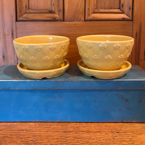 May include: Two yellow ceramic flower pots with matching saucers. The pots have a floral pattern and are sitting on a blue surface. The background is a wooden door.