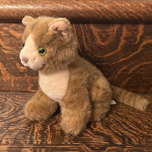 May include: A soft toy cat with brown fur, a cream-coloured chest and face, and green eyes. The cat is sitting on a wooden surface with a detailed grain pattern. The toy cat has a small tail.