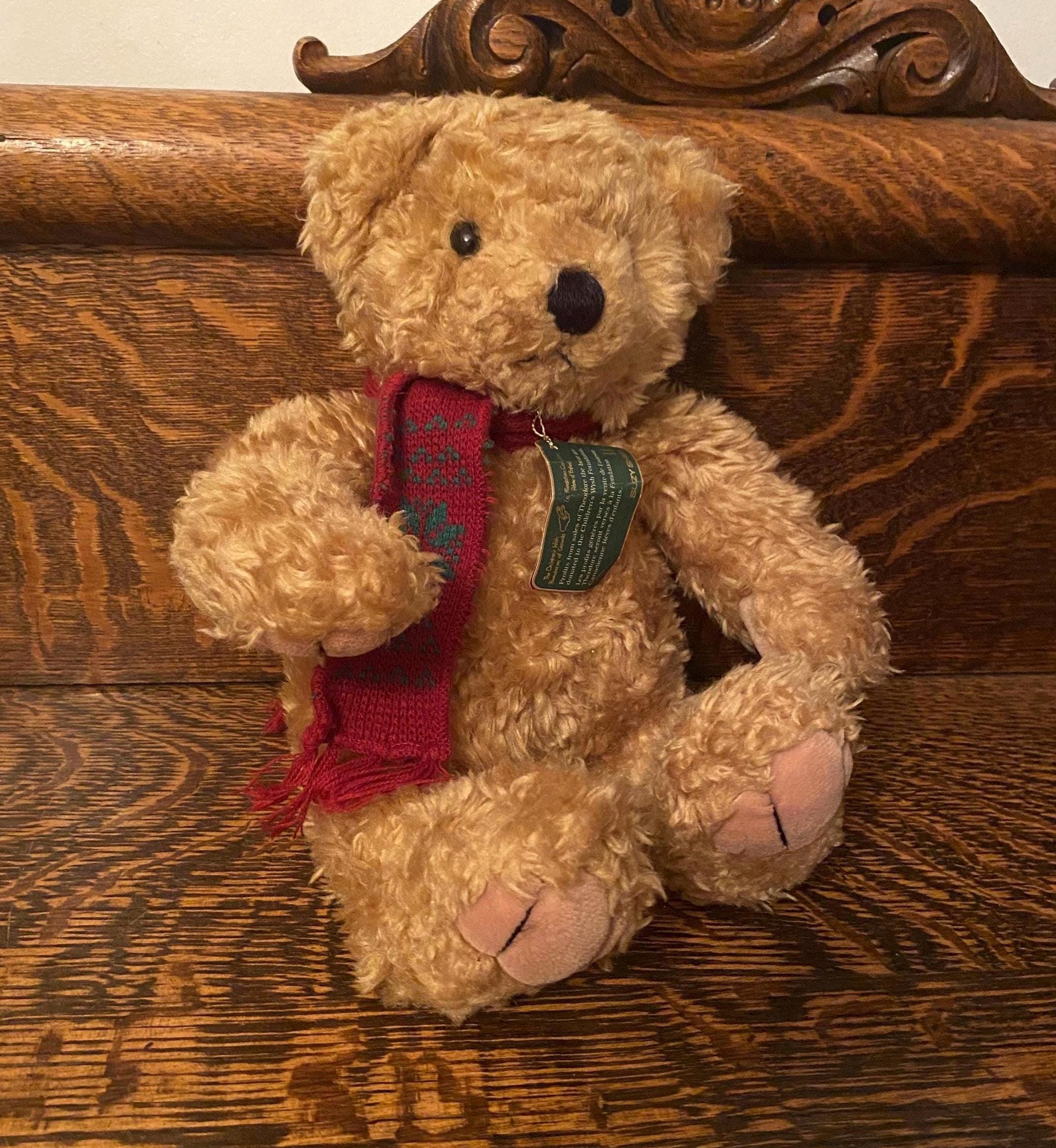 Shy teddy bear sale