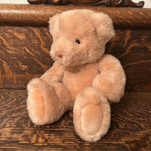 Vintage Gund Plush Bunky Bear 1985 Gund Teddy Bear