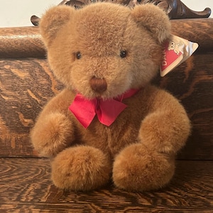 Rare Dakin Teddy Bear Vintage “Sugar Bear” 1980’s R. Dakin & Company