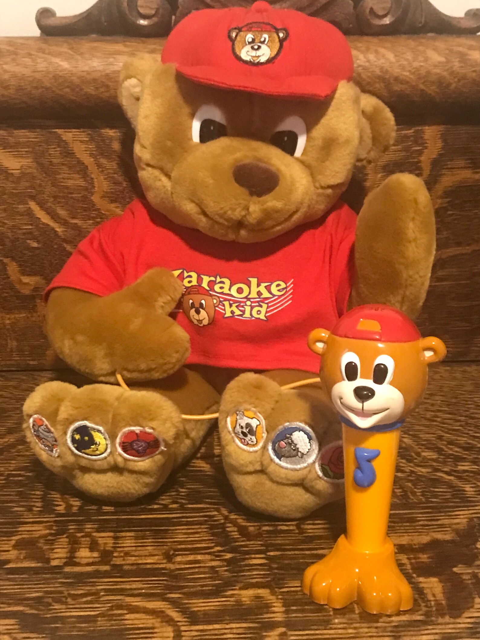 1999 Karaoke Kid Retro Sing Along Bear Working Microphone & 6 Etsy