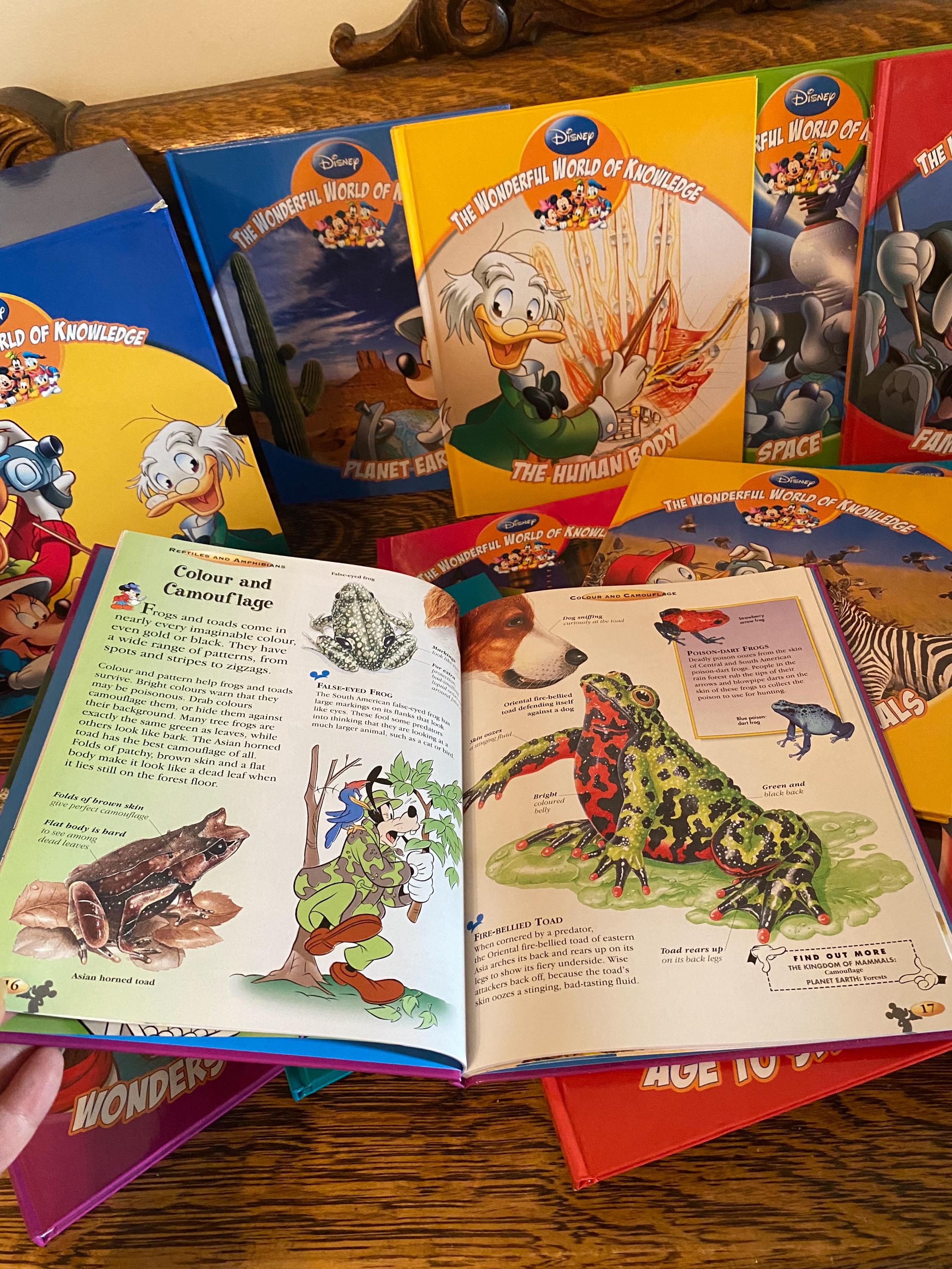 Disney's World of English 2 Course Guide (English and