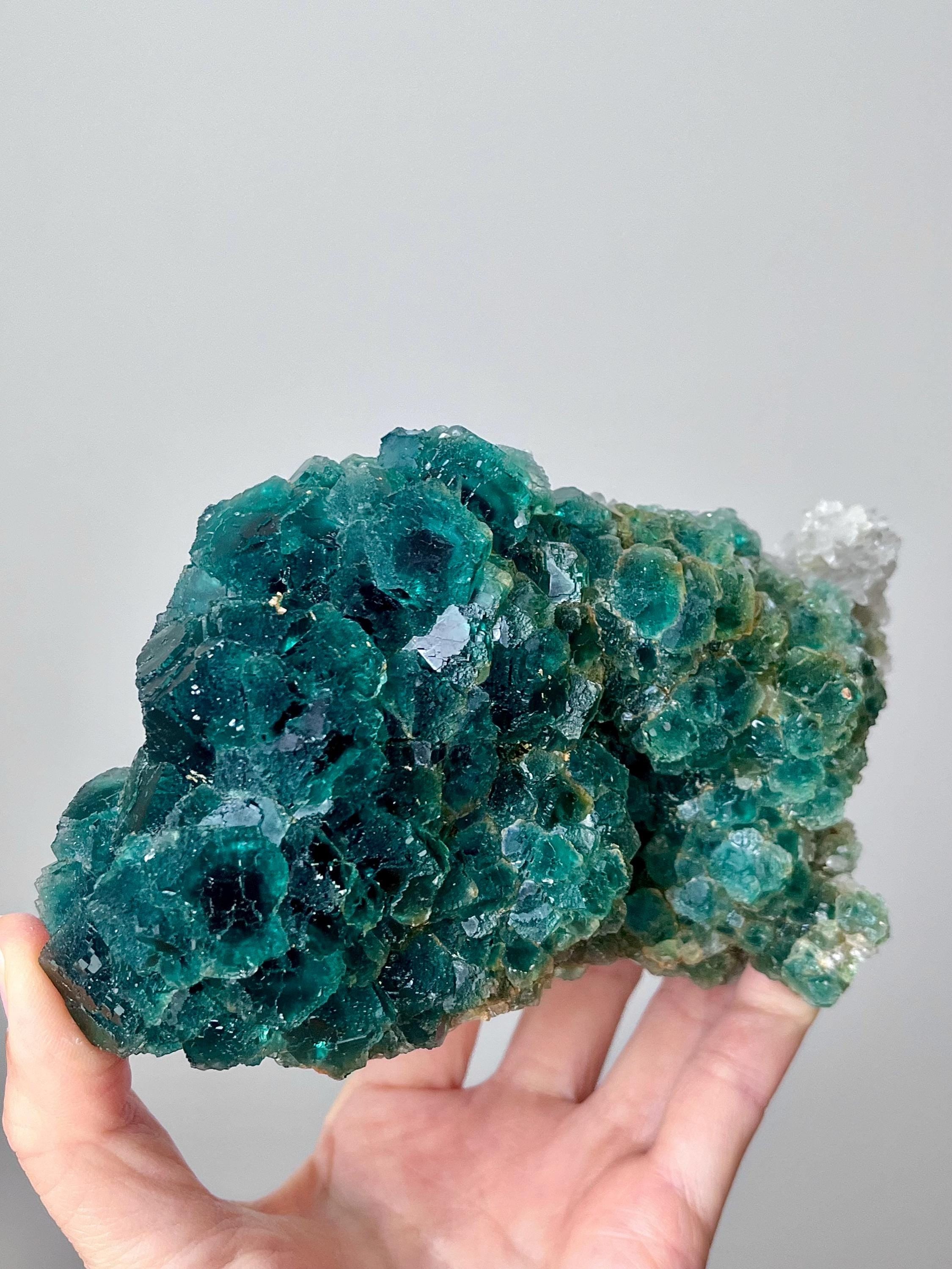 Okorusu fluorite - Etsy 日本