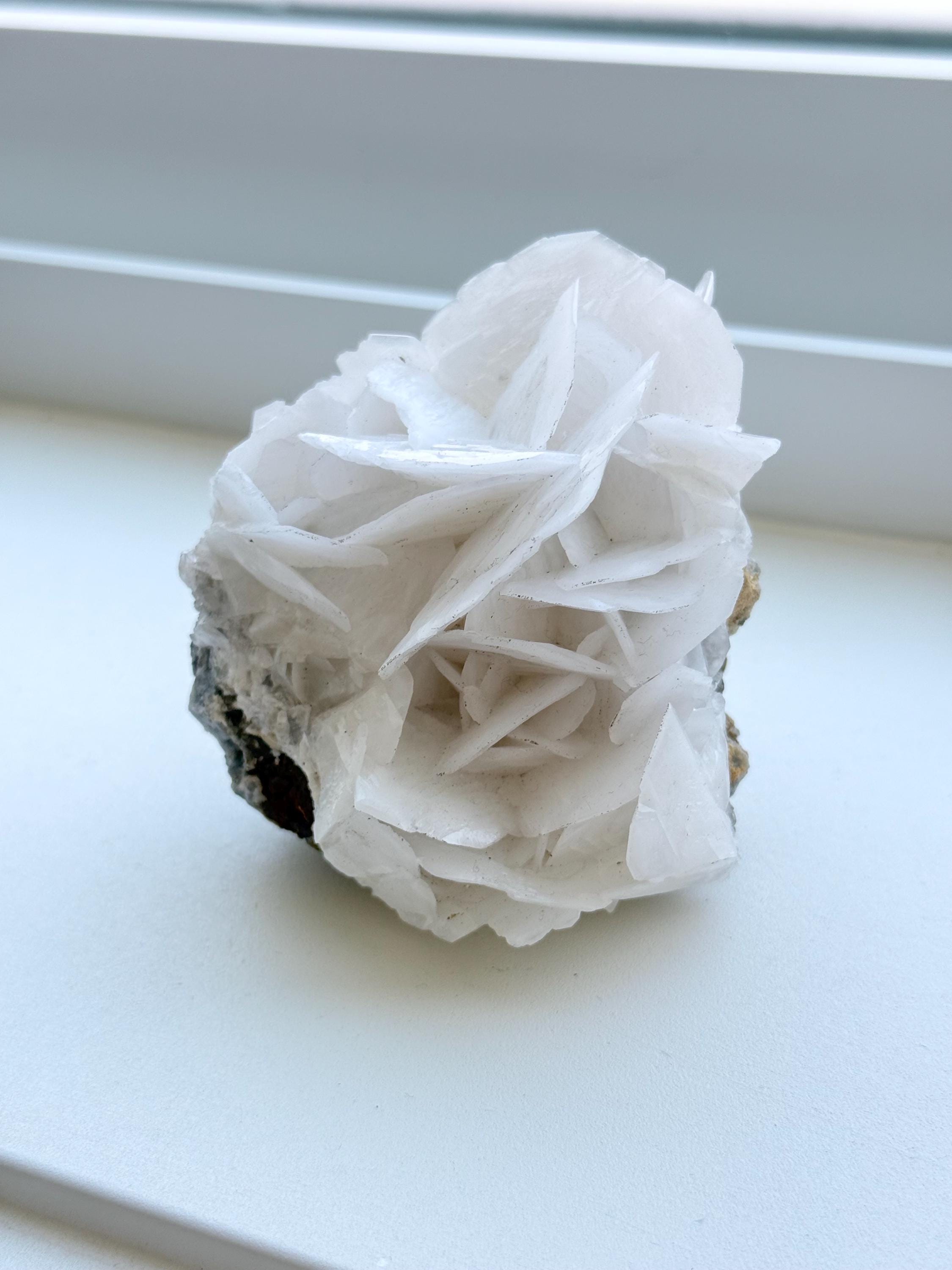 蛍光ホワイトローズカルサイト - Etsy 日本