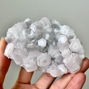 Fluorescent Pink Coin Calcite