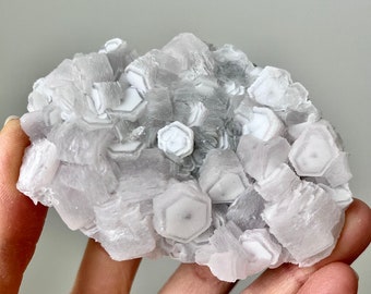 Può includere: Un gruppo di cristalli di selenite bianchi con una forma esagonale a strati. I cristalli sono traslucidi e hanno una lucentezza madreperlacea morbida.