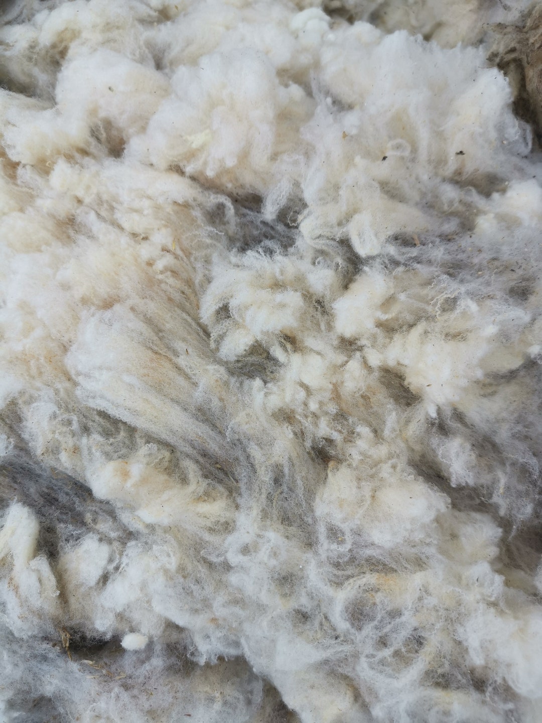 Laine de mouton Laine brute Mérinos allemand Mouton de Etsy France