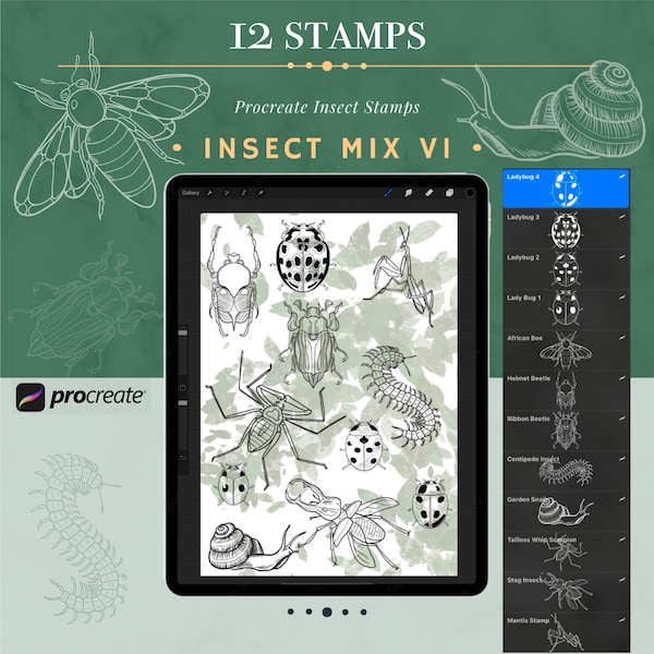 INSECT MIX V1 Stamps for PROCREATE