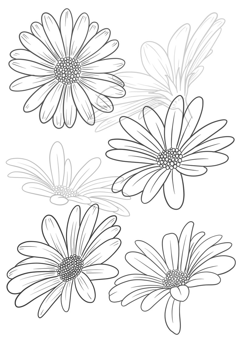 DAISY CHAIN Vol. 1 Stamps for PROCREATE - Etsy Canada