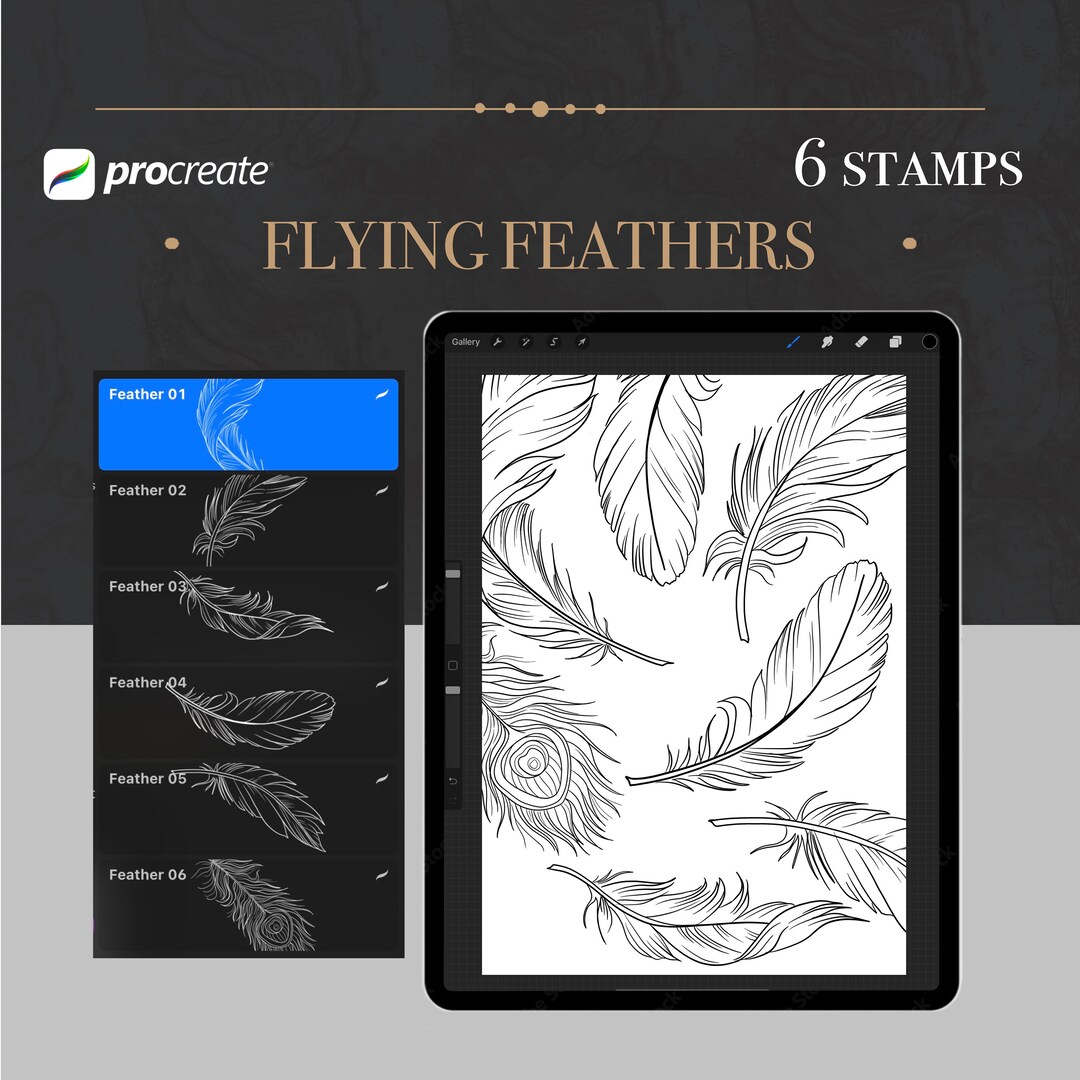FEATHER STAMPS PROCREATE Art Stencils Brushes Etsy
