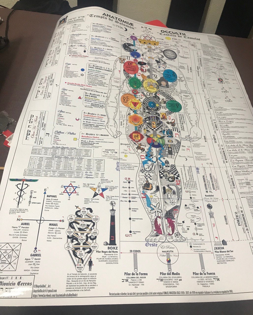 Occult Anatomy Poster, Occult Anatomy. Redrawn and Printed HD version: Standard/white. Esoteric ...
