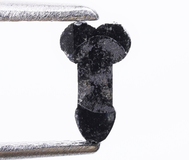 May include: A black, irregularly shaped, rough-textured stone held by tweezers. The stone is about 1 inch long and has a rounded top and a pointed bottom.