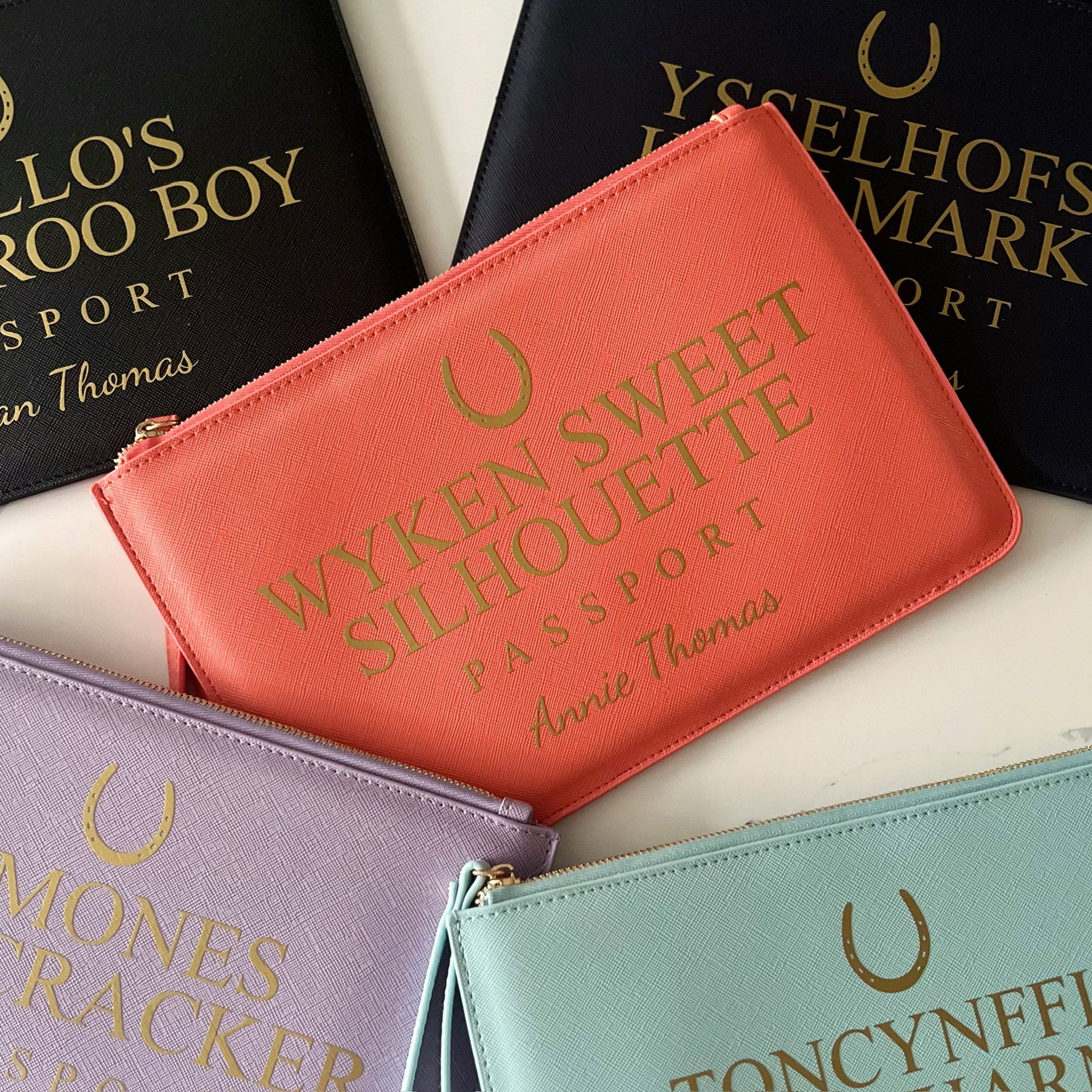 Personalised Horse Passport Case