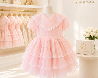 4T: Vintage Flower Girl Dress Toddler Heirloom Embroidered Dress Sheer Pink Organza 1950s Girls Dress 3rd Birthday Girl Dress