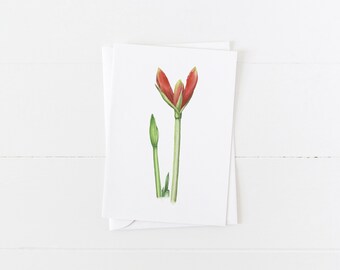 Floral 4x6 Greeting Card Watercolor Amaryllis Blank Note Card Botanical Card with Envelope All Occasions Blank Greeting Card Stationery