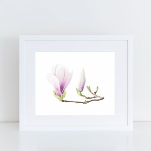 Magnolia Wall Art  Flower Wall Decor Magnolia Watercolor Painting Botanical Art Print Floral Housewarming Gift Magnolia Home Decor