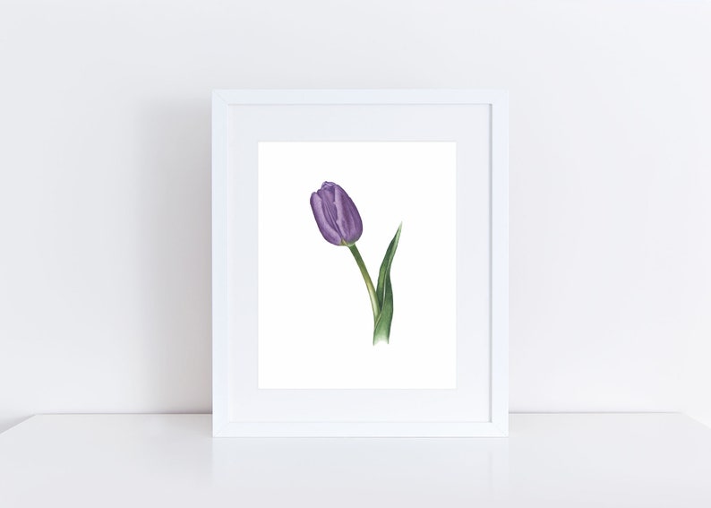 Tulip Watercolor Print Botanical Wall Decor Purple Tulip Wall Art